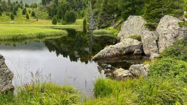 Bu manzaradaki huzuru keşfet. Sakin su yemyeşil ağaçları ve berrak gökyüzünü yansıtır. Dağlarda barış, doğa, seyahat ve açık hava maceralarına ilham verin.