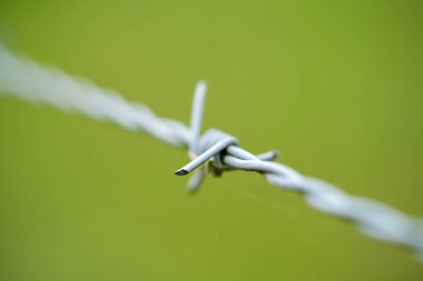 Yumuşak, bulanık yeşil bir zemin üzerine kurulmuş ve koruma ve kısıtlama havası uyandıran tek bir dikenli telin keskin ve detaylı yakın çekimi. Güvenlik kavramları, sınırlar veya kırsal alanlar için ideal