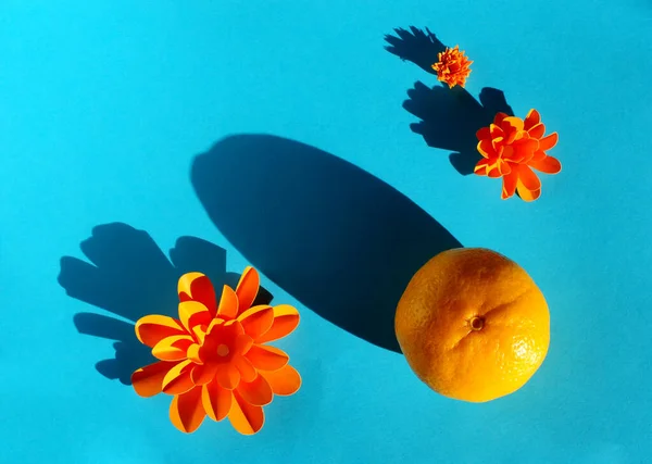 Mandarynki Kwiaty Papieru Cieniami Kolorowym Tle — Zdjęcie stockowe