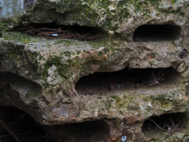 Yeşil liken ve doğal moloz içeren eski beton blok, seçici odaklı yatay doku resmi, metin için bulanık arkaplan ve yer