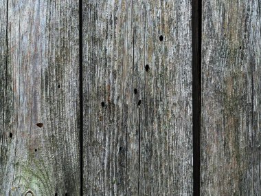 Eski ahşabın yakın çekim dokusu boya izleri, yatay görüntü yumuşak odaklı, rüya gibi metin.