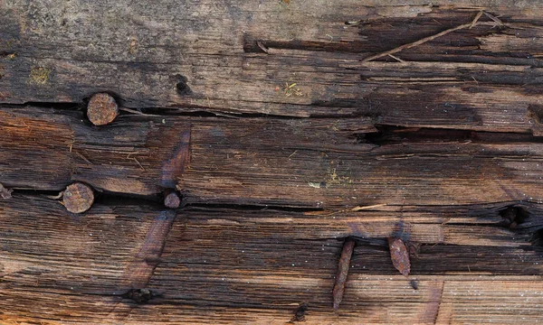 Old Wooden Door Green Lichen Natural Debris Rusty Nails Sheet — Stock Photo, Image