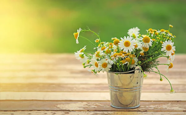 Bouquet of daisies in a bucket Royalty Free Stock Images