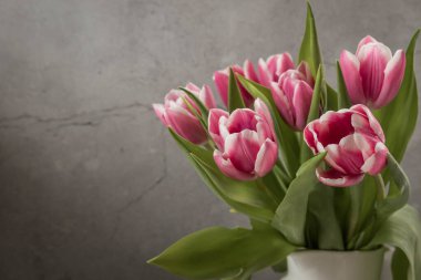 Kırmızı laleler, peçetedeki beyaz sürahi içinde. Beyaz ahşap masada pembe laleler. Bahar çiçeği buketi. Gri arkaplanda pembe laleler ve bir kopya alanı  . 