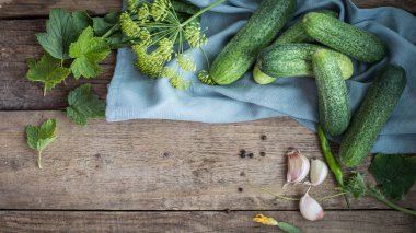 Turşu. Salatalığa salatalık suyu dök. Salatalık, sarımsak, dereotu, kuş üzümü yaprakları cam kavanozda. Geleneksel Rus yemekleri. Salatalık turşusu. Tarifler .