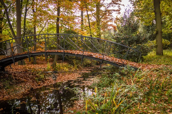 秋の公園の橋のある風景します。 — ストック写真