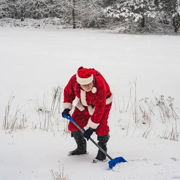 Active Santa Claus with a shovel works on a snowy field.