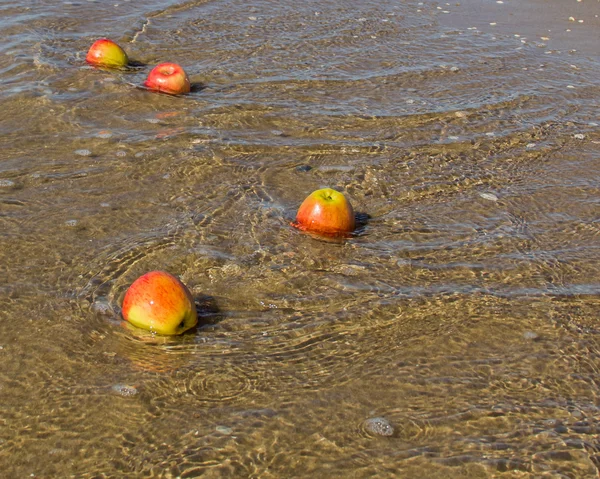 Fyra äpplen i vatten på en havsstrand Nordsjön- — Stockfoto