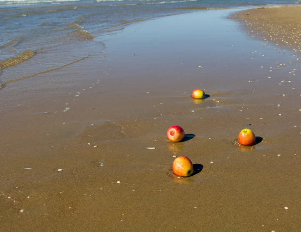 Four Apples on the Sand