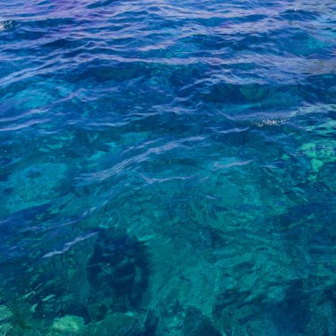 Üzerine sığ kum plaj alt su düşünceler