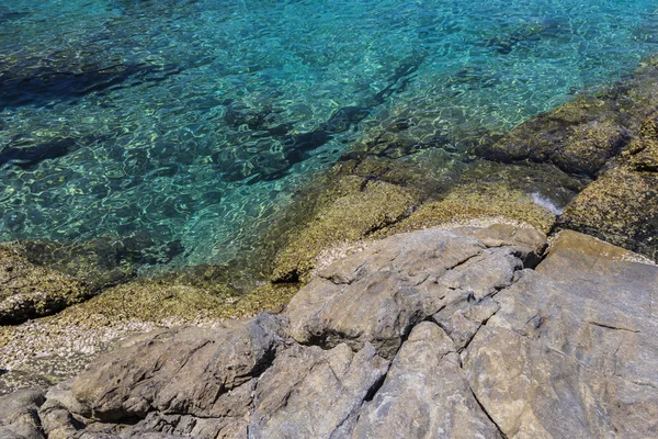 Stone in a stream — Stock Photo, Image