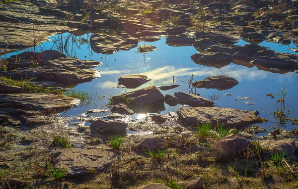 Lever Soleil Matinal Sur Une Rivière Peu Profonde — Photo