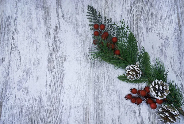 新年カードの装飾要素として装飾的なクリスマスツリーの枝 — ストック写真