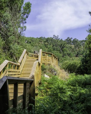 Dağ yürüyüşü patikası. Boş zaman