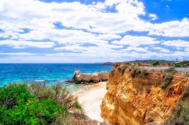 Kayalık okyanus kıyısında güneşli bir gün.
