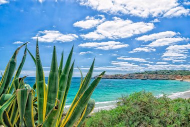 Güneşli bir günde Atlantik kıyısı
