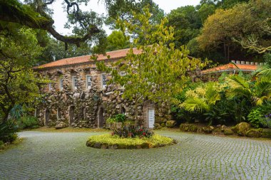 Sonbahar boyunca ağaçlar ve bitkilerle çevrili tarihi taş ev. Manzaralı kırsal çevre ve mevsimsel değişim.