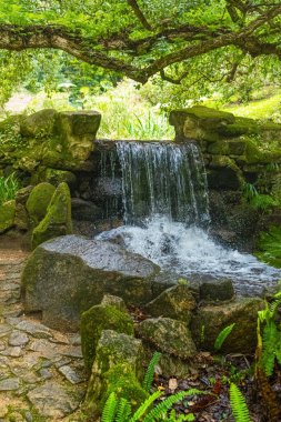 Sonbaharda yeşil bir ormanda çağlayan dağ şelalesi. Sakin bir doğa sahnesi ve doğa konsepti..