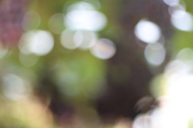 Mavi bokeh soyut arkaplan.