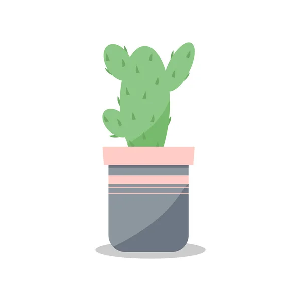 Izolowany Obraz Kaktusa Doniczce Ilustracja Wektora — Wektor stockowy