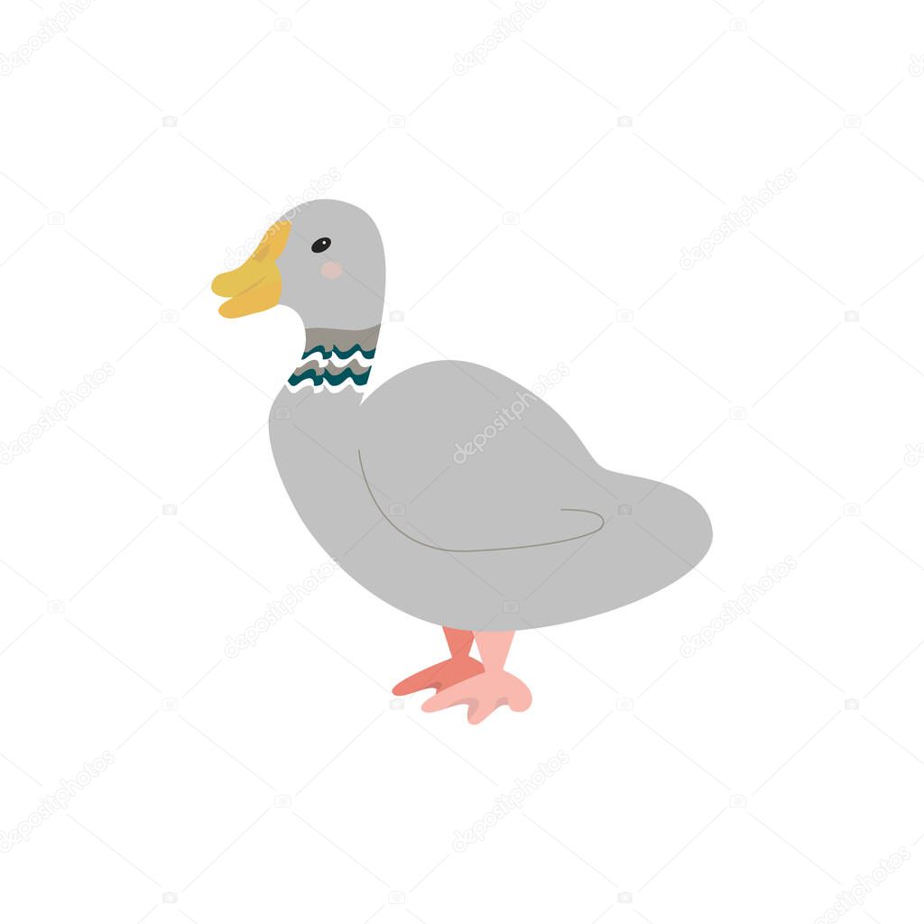 Isolated image of a gray duck on a white background. Pate packaging design, kids illustration, cute t-shirt print, duck egg and meat packaging. Vector illustration.