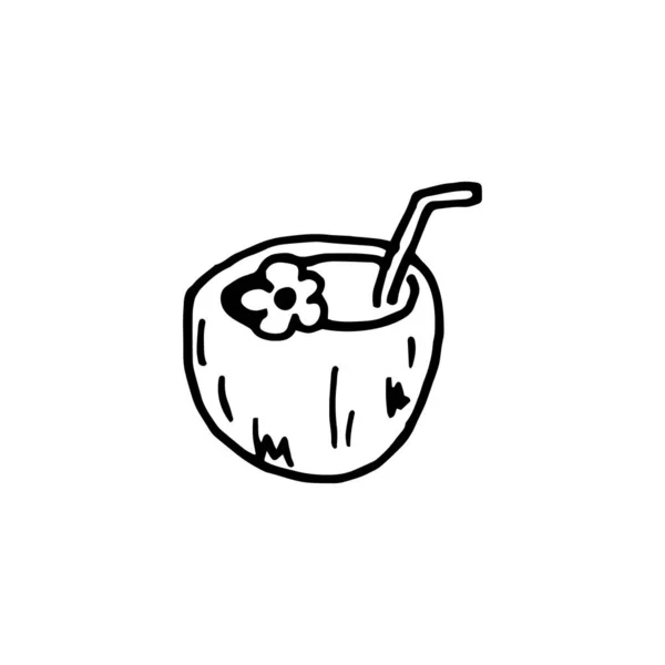 Junge Kokosnuss Doodle Illustration Milch Oder Nusscocktail Handgezeichneter Pina Colada — Stockvektor
