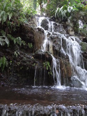Beautiful waterfall in Cupatitzio Park, Uruapan, Michoacan clipart