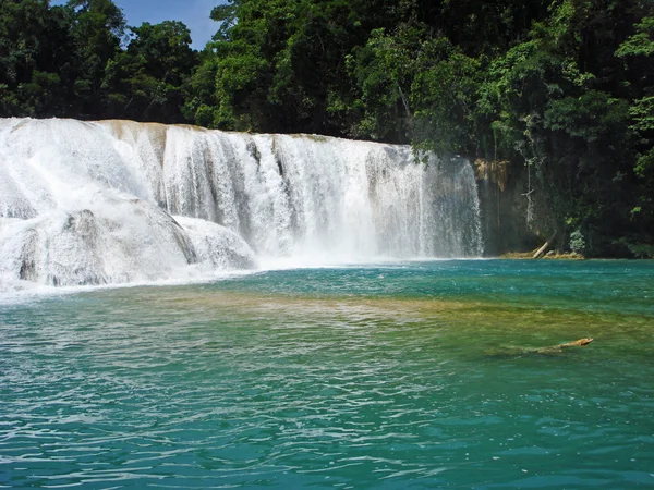 Cascadas de Agua Azul or Blue-water Falls in Chiapas, Mexico — Stock Photo, Image