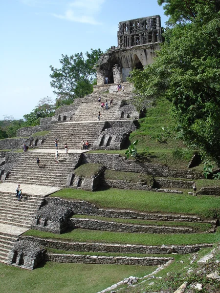 Arkeolojik Palenque Chiapas, Meksika için