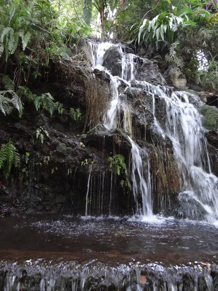 Nádherný vodopád v Cupatitzio parku, Uruapan, Michoacan — Stock fotografie