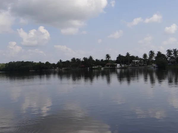 Chiapas, Meksika için mangrov arasında küçük kasaba