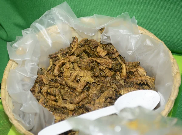 Prehispanic Meksika mutfağı, kızarmış tırtıllar