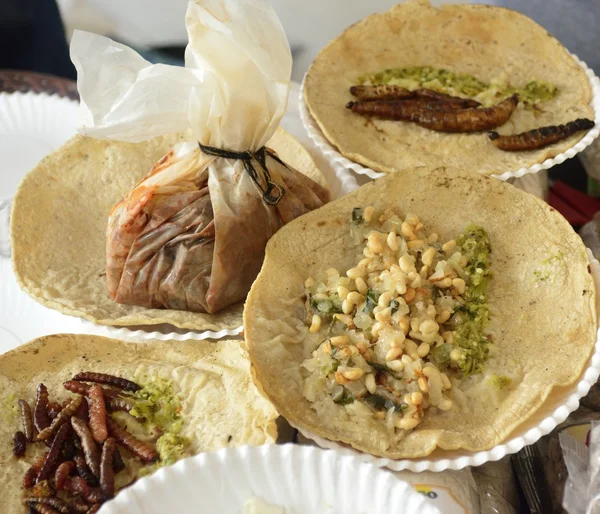 Fried böcek ve solucan tacos Meksika mutfağı üzerinden