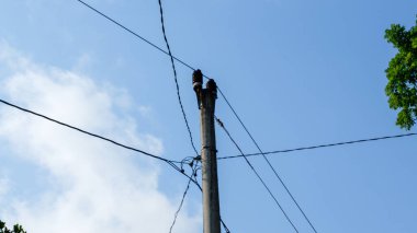 Üzerinde bir sürü kablo olan bir elektrik direğinin fotoğrafı. Gün çok sıcaktı.
