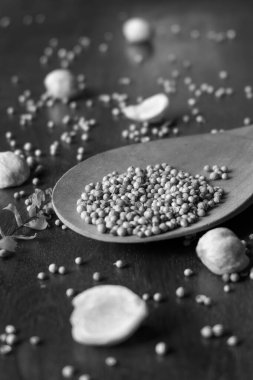 Endonezya 'dan baharat fotoğrafı, yani Candlenut ve kişniş.