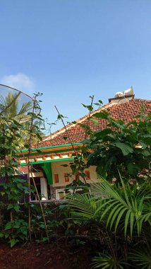 Evin yanındaki bahçeye sebze ekilmiş.