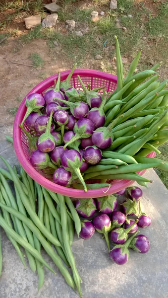 Photo Purple Beans Eggplant — Stock Photo, Image