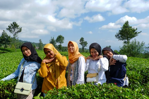 Czerwca 2020 Wonosobo Jawa Środkowa Indonezja Kilka Azjatyckich Kobiet Jest — Zdjęcie stockowe