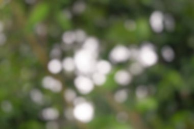 arkaplan bulanık fotoğraf kırmızı taban rengi, arkaplan olarak çok uygun