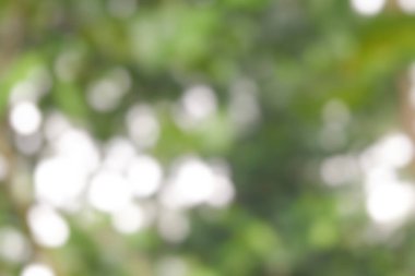 arkaplan bulanık fotoğraf kırmızı taban rengi, arkaplan olarak çok uygun