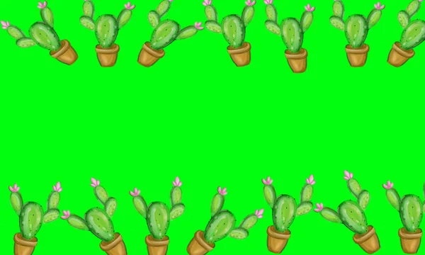 Diseño Acuarela Con Objetos Ornamentales Cactus Planta — Foto de Stock