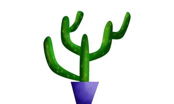 Diseño Acuarela Con Objetos Ornamentales Cactus Planta — Foto de Stock