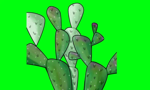 Akvarell Design Díszítő Kaktusz Növényi Tárgyak — Stock Fotó