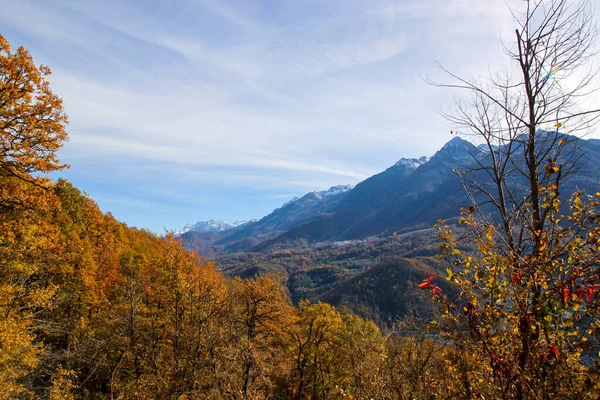 Autumn Landscape Mountains Beautiful Red Trees Bright Blue Sky Cirrus — Stock Photo, Image