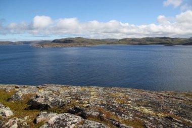 Barents Denizi Koyu 'nun koyu mavi suları ve karşı kıyıdaki tepelerin manzarası. Yosun deniz kıyısındaki bir kayanın üzerinde yetişir. Okyanusun üstündeki uçurumdan panoramik manzara. Mavi gökyüzünde beyaz bulutlar.