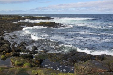 Barents Denizi 'nin güzel dalgaları kıyıdaki kayalarda kopuyor. Barents Denizi körfezinin koyu mavi suları. Yaz deniz manzarası. Dünya 'nın kıyısında. Kuzey denizinin soğuk suları.