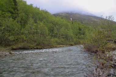 Dağ nehri ormandan akıyor. Kuzeyde yaz yeşili manzarası. Bulutlar çok alçaktan indi ve dağların zirvelerini gizledi..