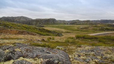 Ufukta tepeleri olan güzel yeşil bir vadinin üst manzarası. Bulutlu bir günde yaz kuzey manzarası. Yosun taştan tepelerde yetişir..