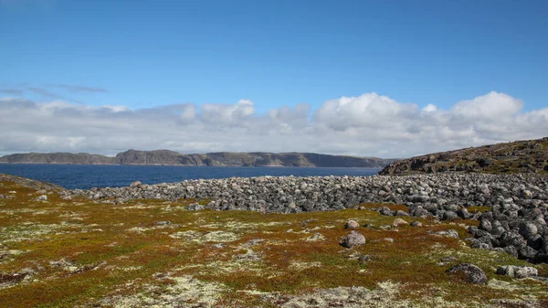 Costa Mar Barents Grandes Pedras Cinzentas Jazem Costa Moss Cresce — Fotografia de Stock