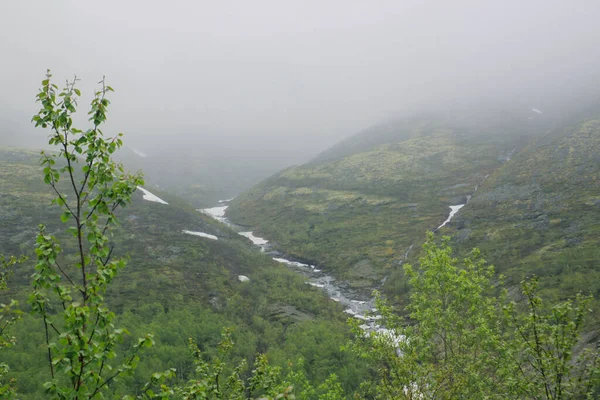Río Montaña Fluye Entre Verdes Colinas Una Espesa Niebla Descendió —  Fotos de Stock